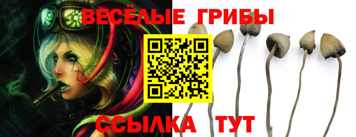 Куйбышев  Галлюциногенные грибы прущие грибы  закладки  Вход с VPN 